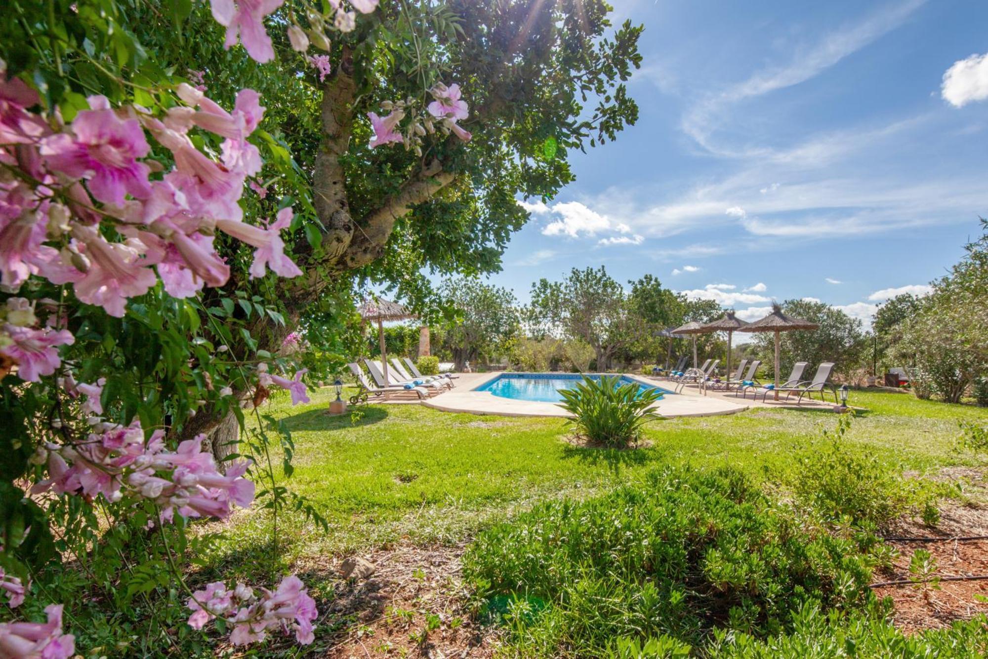 Finca Son Marimon (Adults Only) Santanyi Ngoại thất bức ảnh