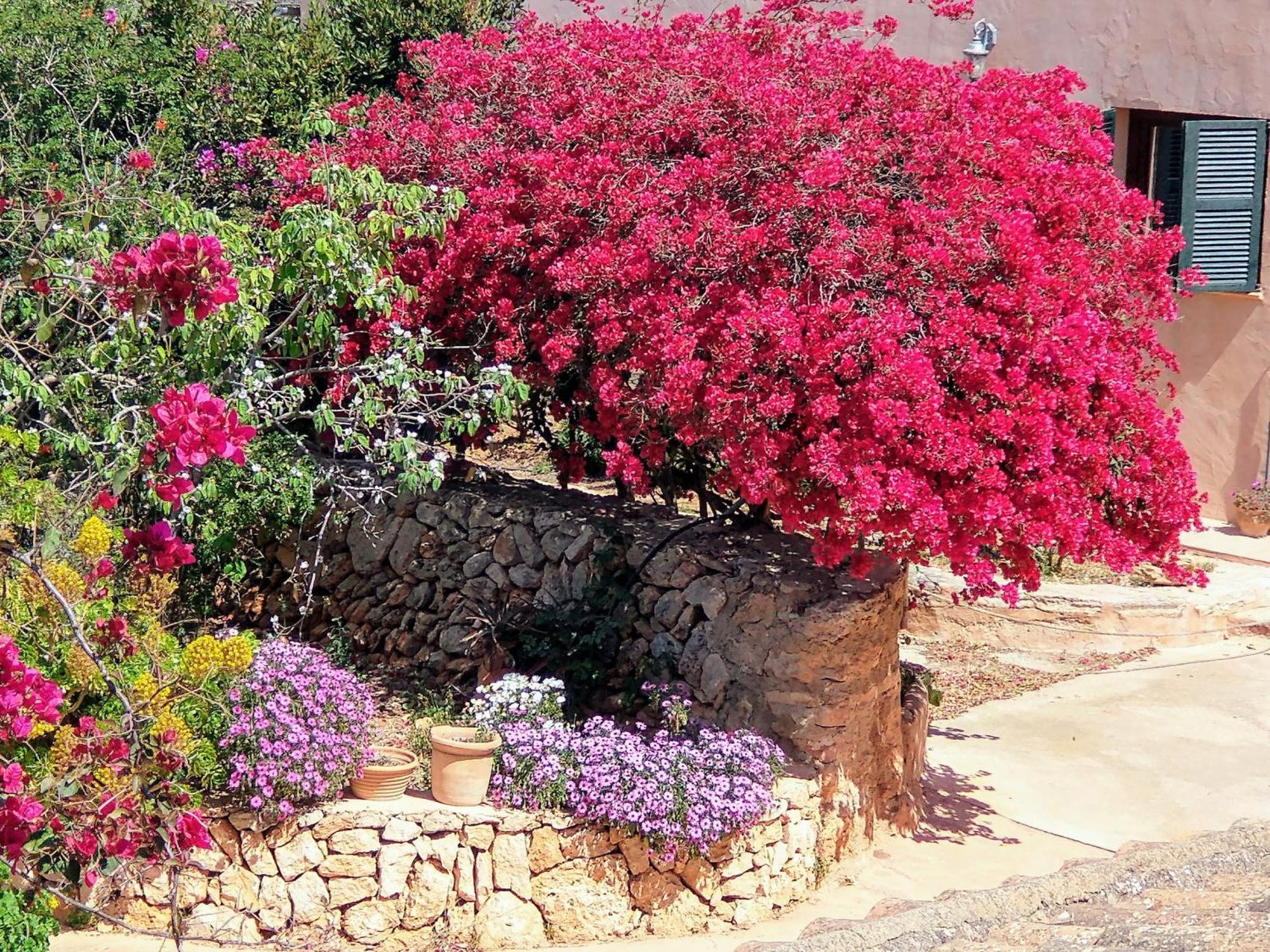 Finca Son Marimon (Adults Only) Santanyi Ngoại thất bức ảnh