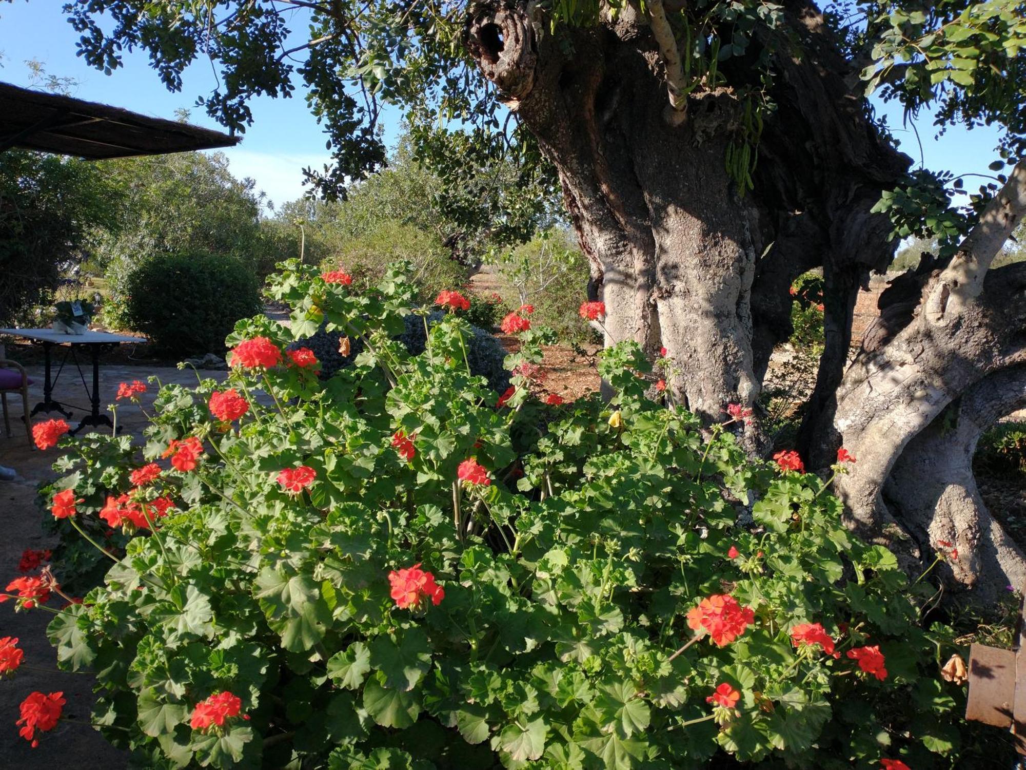 Finca Son Marimon (Adults Only) Santanyi Ngoại thất bức ảnh