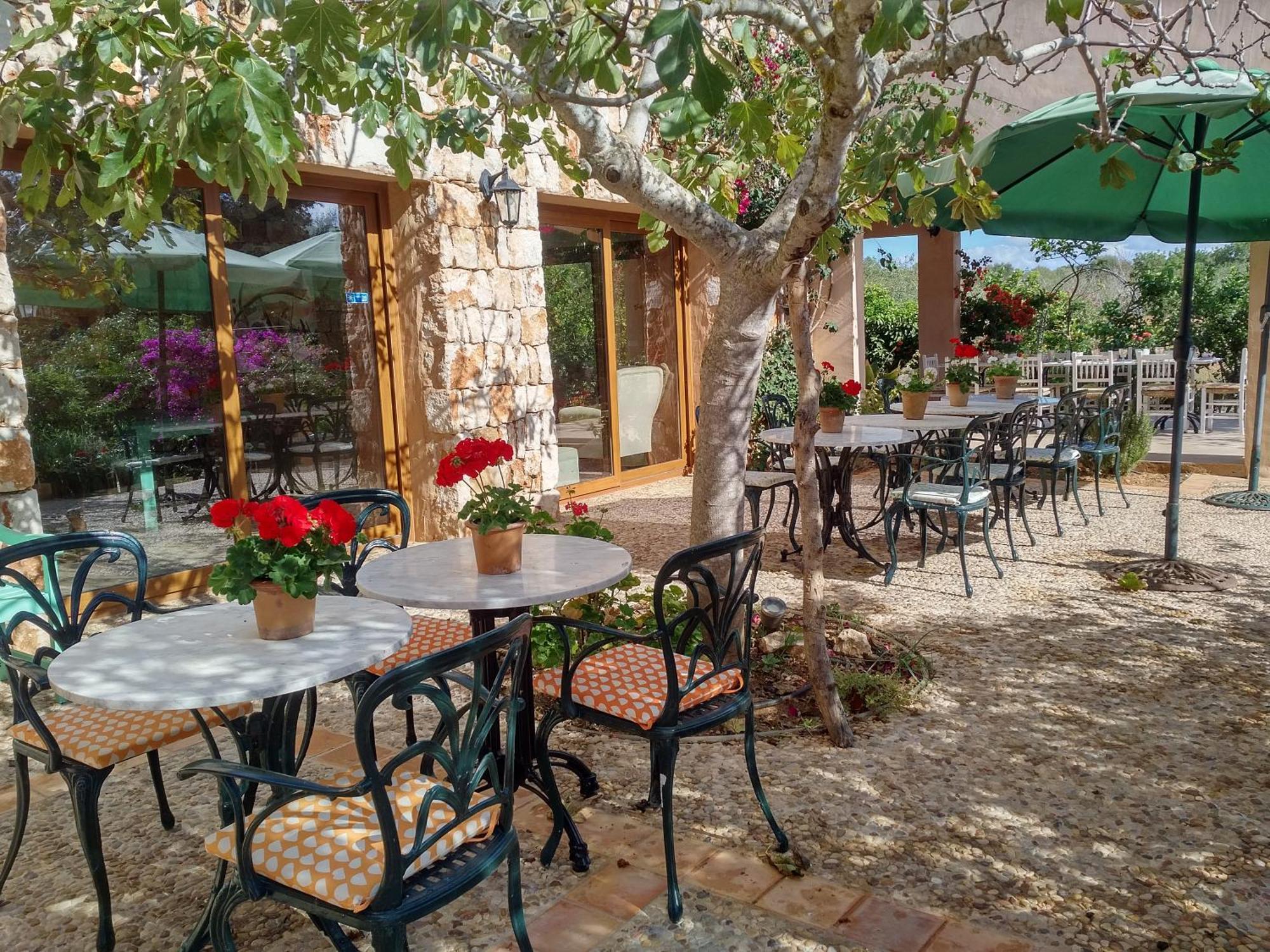 Finca Son Marimon (Adults Only) Santanyi Ngoại thất bức ảnh