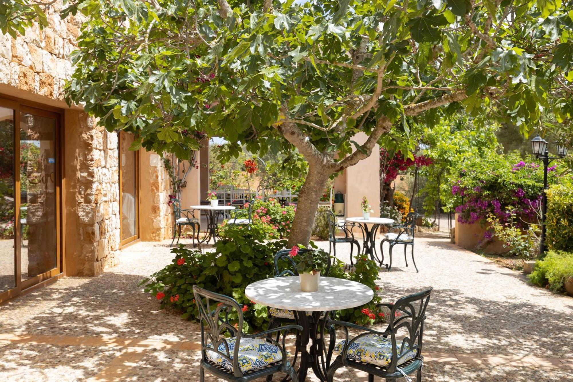 Finca Son Marimon (Adults Only) Santanyi Ngoại thất bức ảnh