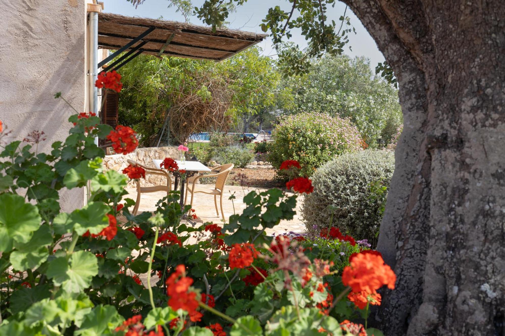 Finca Son Marimon (Adults Only) Santanyi Ngoại thất bức ảnh